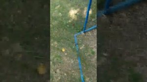 давайте я буду копать грабля́ми