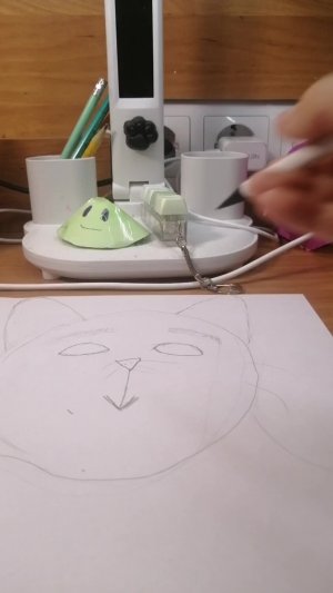 Кот