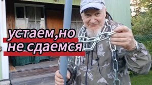 Прополка огорода и сада. Повторный поход за ягодами. Устаем,но не сдаемся. 20.06.2026