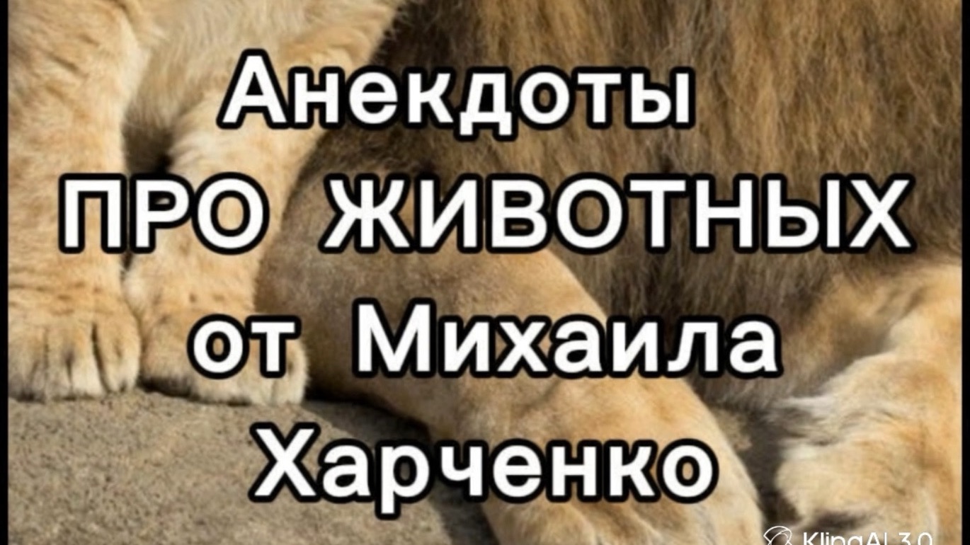 Про ЖИВОТНЫХ - анекдоты от Михаила Харченко смотреть онлайн