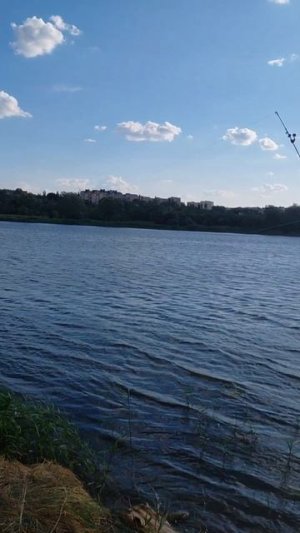 Рыбалка#shorts