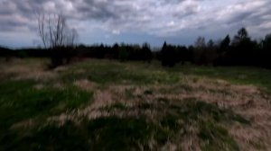 охота на тетерева и глухаря в костроме. Мой первый трофей