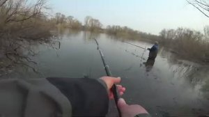 ЗАКИНУЛА ПОПЛАВОК под КУСТ... ОН взял на мормышку!!!