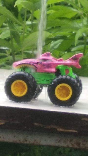 Shark wreak color shirter | Hot Wheels monster trucks color shirter