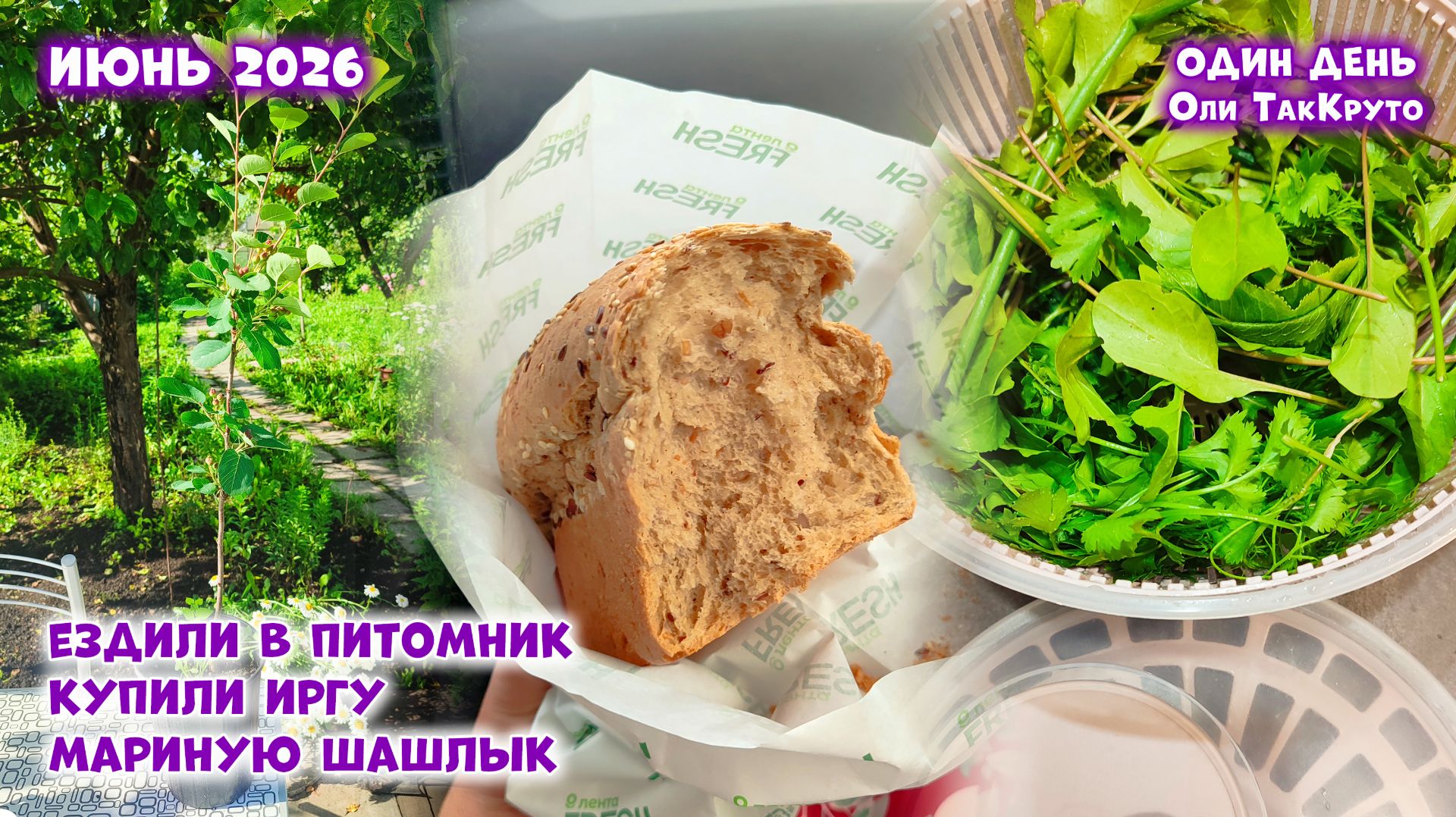 Ездили в питомник и купили иргу! Как замариновать шашлык из свинины. Июнь 2026. Дни с Олей ТакКруто смотреть онлайн