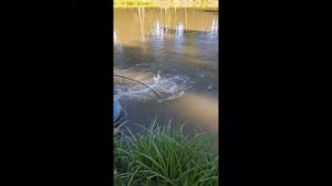 Тайна носатого из Копнино раскрыта: эксклюзивные кадры