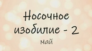 СП «Носочное изобилие - 2». Отчет май.