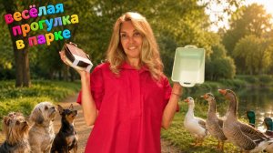 Покупки из магазина - все для дома. Прогулка с гуляли и собаками в парке на Сухонке.