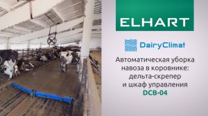 Автоматическая уборка навоза в коровнике: дельта-скрепер и шкаф управления DairyClimat