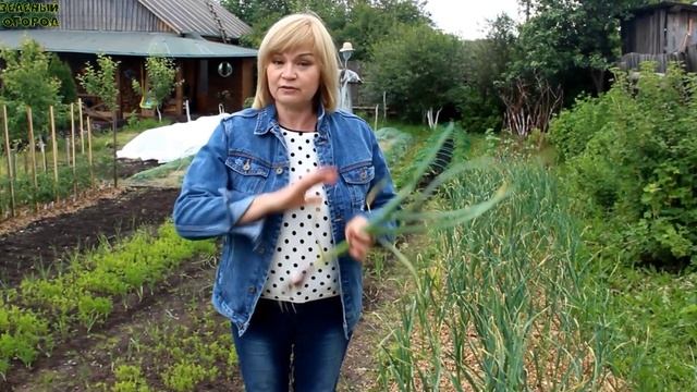 Что нужно сделать за МЕСЯЦ до уборки ЧЕСНОКА!