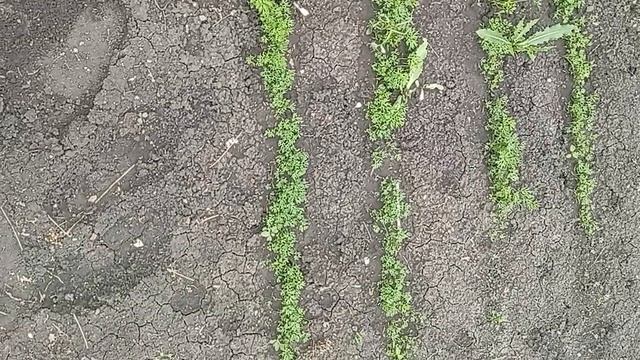 2и3 смотреть онлайн