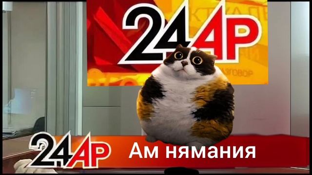 Актуальный Разговор-Ам нямания