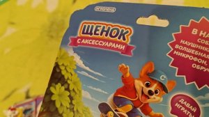 Обзор из Галомарта котики
