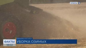 Один из крупнейших агрокомплексов Кубани планирует собрать 90 тыс. тонн ячменя