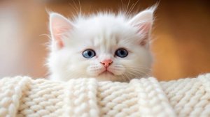 Милый котенок