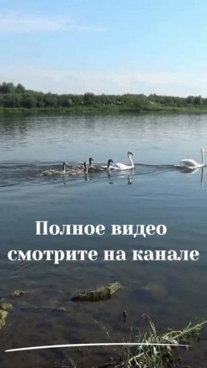Начинайте исполнять