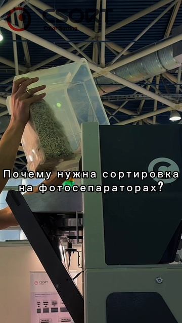 ❓ Почему нужна сортировка на фотосепараторах? смотреть онлайн