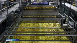 Яблочный заговор: «Вести» узнали, зачем плоды добавляют во все фруктовые и ягодные соки