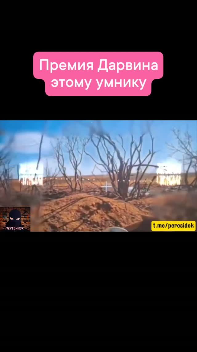Премия Дарвина умнику