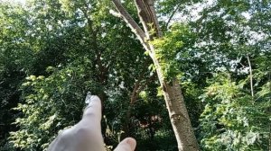 308.)23.06.26.год.Моя городская жизнь👩 🍀🍀🍀. каждый день похож на предыдущий. не большая закупка.