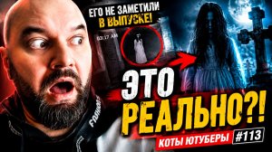 ПРИЗРАК или ДЕШЁВАЯ ПОСТАНОВА Реакция на КОТЫ ЮТУБЕРЫ