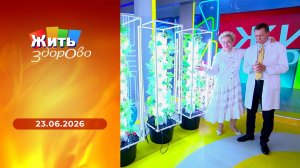 Жить здорово! Выпуск от 23.06.2026