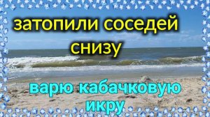 Затопили соседей. Варю икру. Пляж и море. Курортный Ейск♥️. Ремонт у мурманчан и не только...