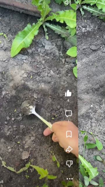 Копаем яму! День 9