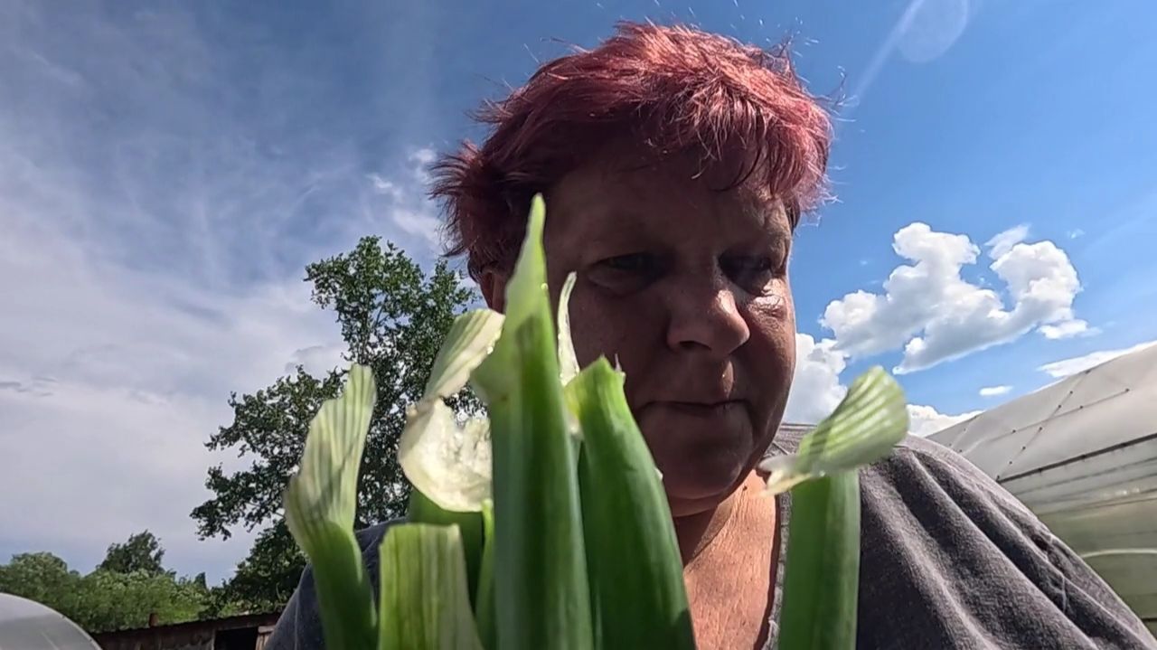 Живём в берлоге.. Вот козёл сидит, а я не вижу...