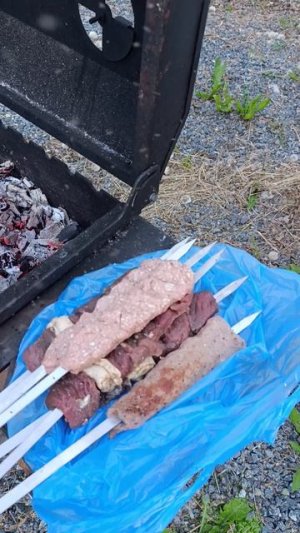 Колличество гнуса зашкаливает. Томская область