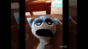 температурные лица котика