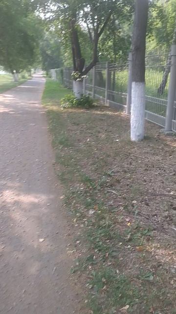 Прогулка на остановке 2