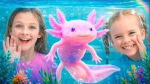 Животные дома! Дети учат названия диких животных и интересные факты о них