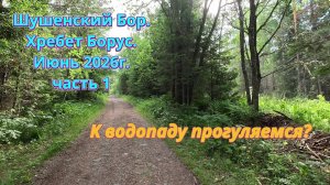 Шушенский Бор. Хребет Борус. Июнь 2026г. К водопаду прогуляемся Часть 1