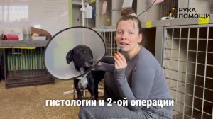 Итоги лечения в июне!