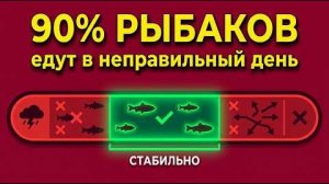 Почему не клюёт 90% рыбаков не знают этого про погоду