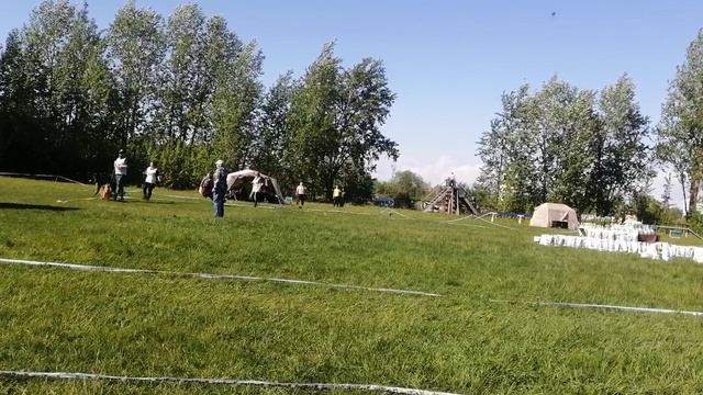 МОЛОДЫЕ СУКИ / КЧК САНКТ-ПЕТЕРБУРГ 23 мая`26 И.Давыдова Моно немецких овчарок