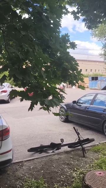 E46 в Сестрорецке