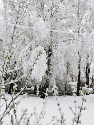 Я сижу скучаю на даче. 
Что-бы меня порадовать подпишись!!
Я если что болею.