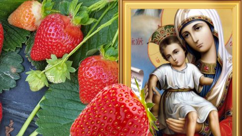 свою судьбу. смотреть онлайн