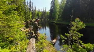 РЫБАК В ШОКЕ ОТ ТАКОЙ РЫБАЛКИ. КРУПНЯК НА БЛЕСНУ. БЕШЕННАЯ РЫБАЛКА НА РЕКЕ