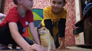 1 часть выживания в палатке (старый выпуск)
