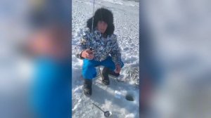 Корюшка (малоротка) на Махалки оснащенные на Корюшку-малоротку (Юг Сахалина)  от Mr.Musurok🔥