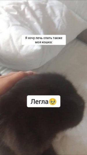 😁 #залетит