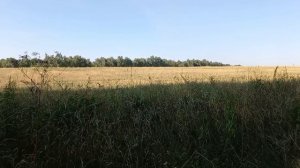 один в ночь