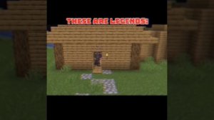 Minecraft Legends?