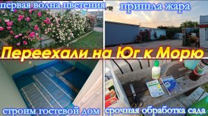 ПЕРЕЕХАЛИ НА ЮГ, САМОЕ КРАСИВОЕ ВРЕМЯ, РОЗЫ НАЧАЛИ ЦВЕСТИ, ЧЕМ ОБРАБАТЫВАЮ САД,