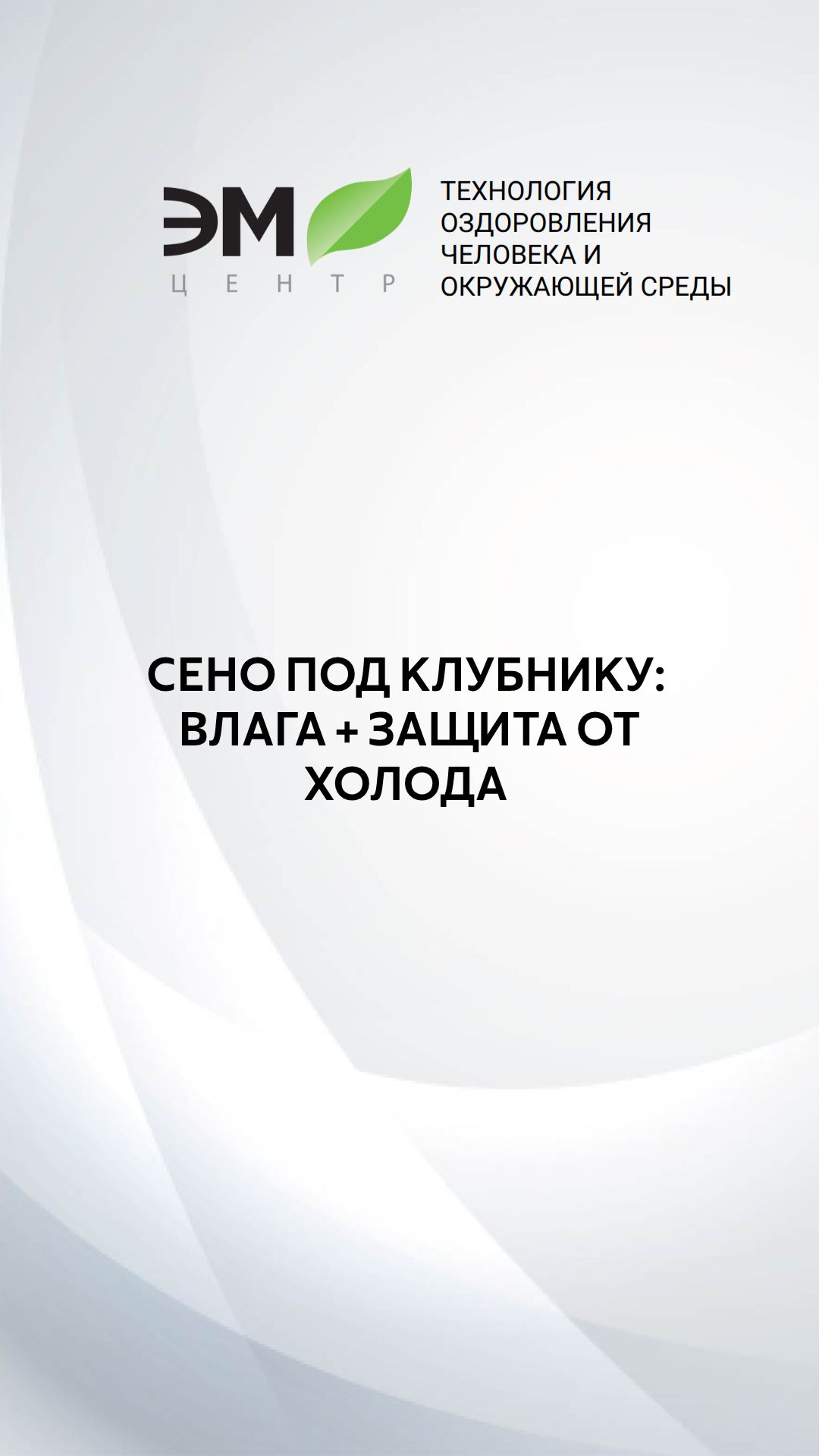 Усы или урожай? Как мульчировать клубнику сеном и защитить от июньских холодов