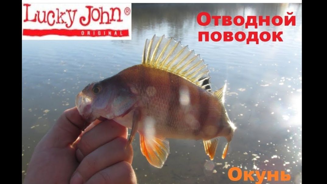 Отводной поводок - ловля окуня на резину Lucky John смотреть онлайн