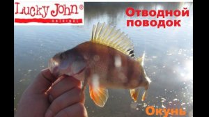 Отводной поводок - ловля окуня на резину Lucky John